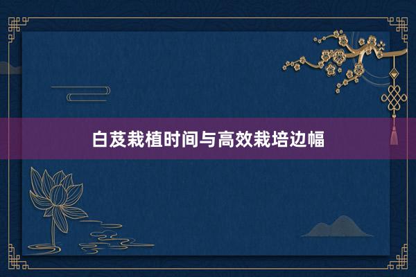 白芨栽植时间与高效栽培边幅
